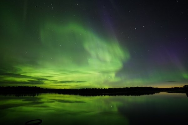 Polarlicht Spektakel | © Aventure Arctique