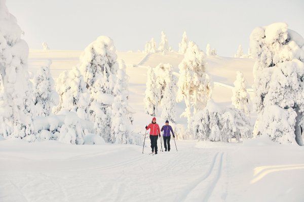 La piste de ski de fond traverse la forêt enchantée ! | © Luosto