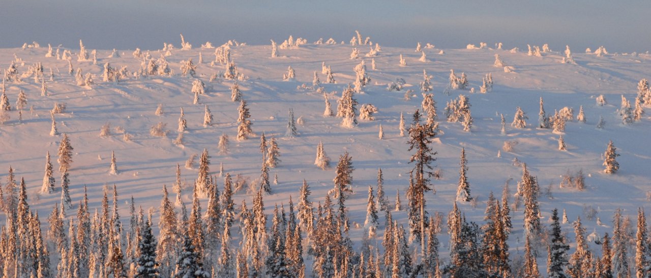 La magie de l'hiver en Laponie